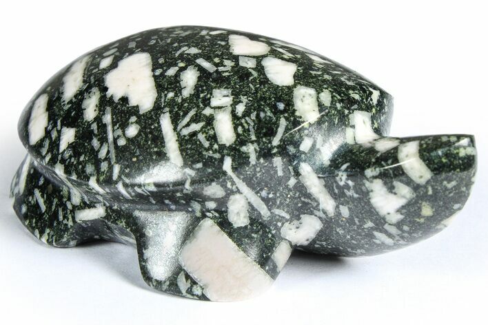 Polished Chinese Writing Rock Turtle - Alaska #366525